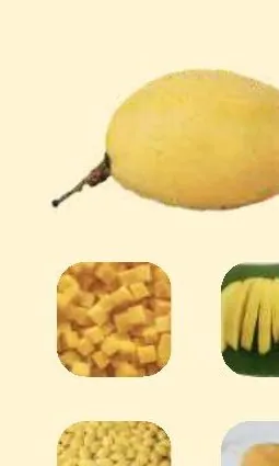 Xoài Cát Chu Vàng — Yellow Cat Chu Mango