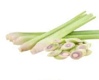Củ Sả — Lemongrass