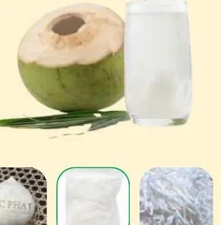 Dừa Xiêm — Siam Coconut