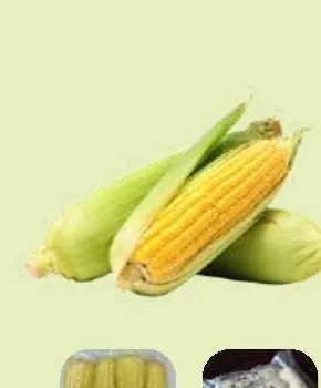 Corn (Bắp)
