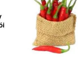 Ớt — Chili