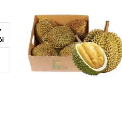 Sầu Riêng — Ri6 & Monthong Durian