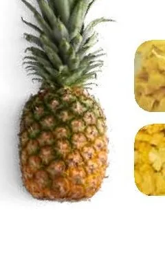 Pineapple (Khóm · Dứa)