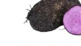 Khoai Mỡ — Purple Yam