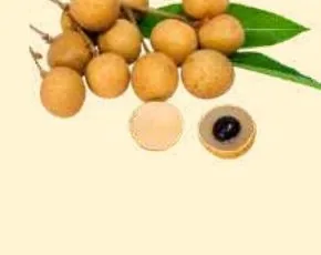 Longan (Trái Nhãn)